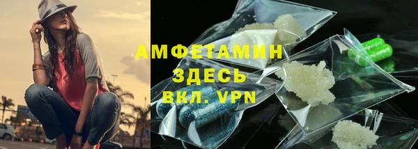 мдпв Снежногорск
