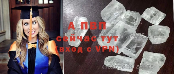 ECSTASY Волоколамск