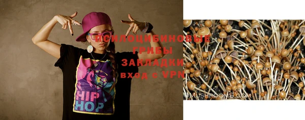 Альфа ПВП Володарск