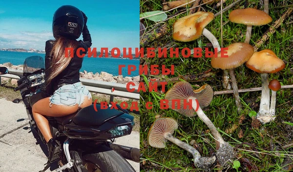 герыч Верхний Тагил