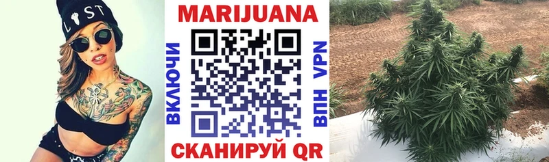 Бошки Шишки индика купить закладку Каргат